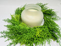 Real Touch Cedar Candle Ring Wreath 6.5 Inch Mini Greenery Christmas Table Decor
