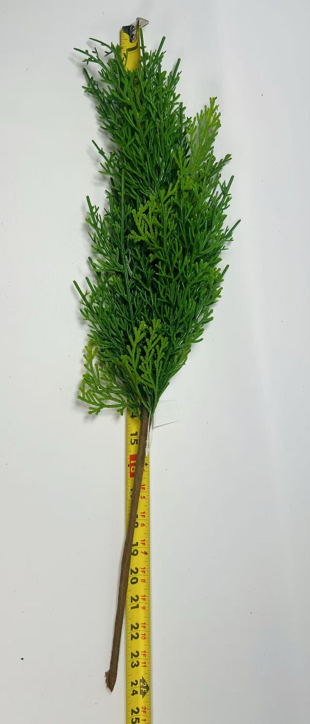24” Real Touch Cedar Stem Artificial Greenery Branch for Christmas Holiday Winter Decor