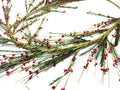 55" Red Berry & Pine Garland, Rustic Farmhouse Christmas Mantel Decor, Winter Greenery