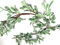 Frosted Mistletoe Garland 5ft Greenery White Berry Christmas Winter Wedding Decor
